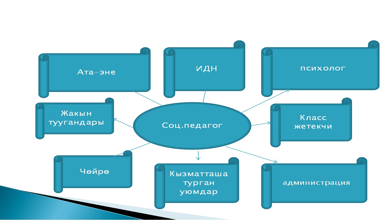 Китепканачынын иш планы